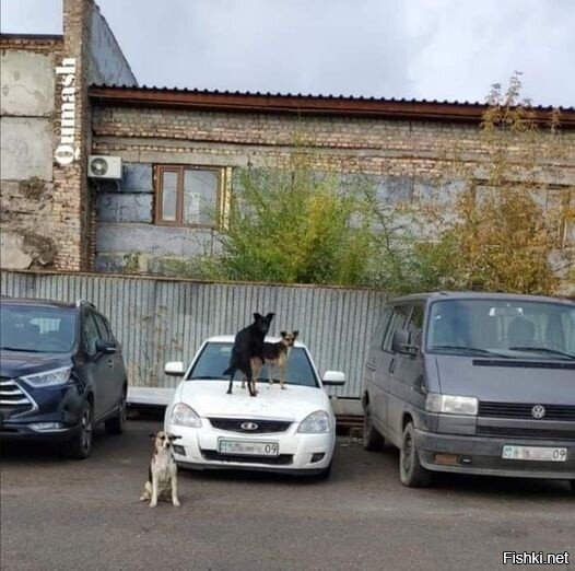 А шо такое