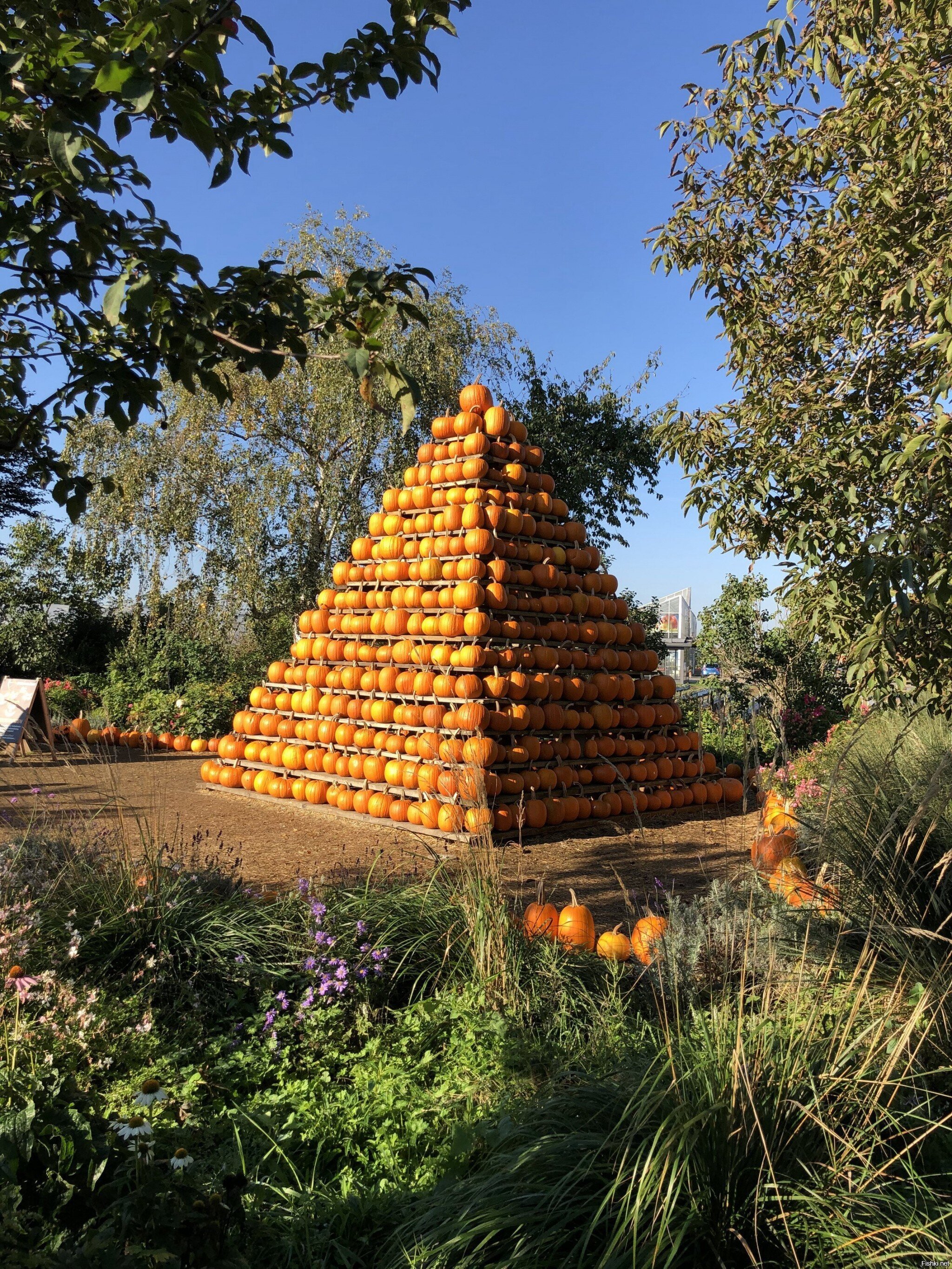 Осенняя пирамида