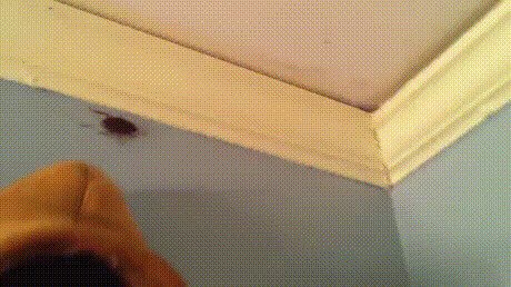 и тихонько в уголок, 