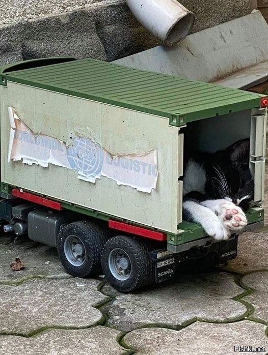 Ценный груз