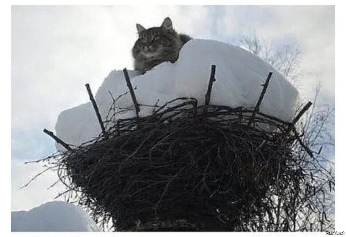Мир меняется к лучшему)))