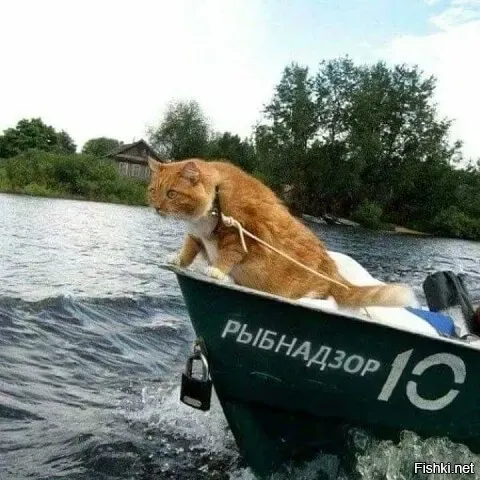 Мир меняется к лучшее