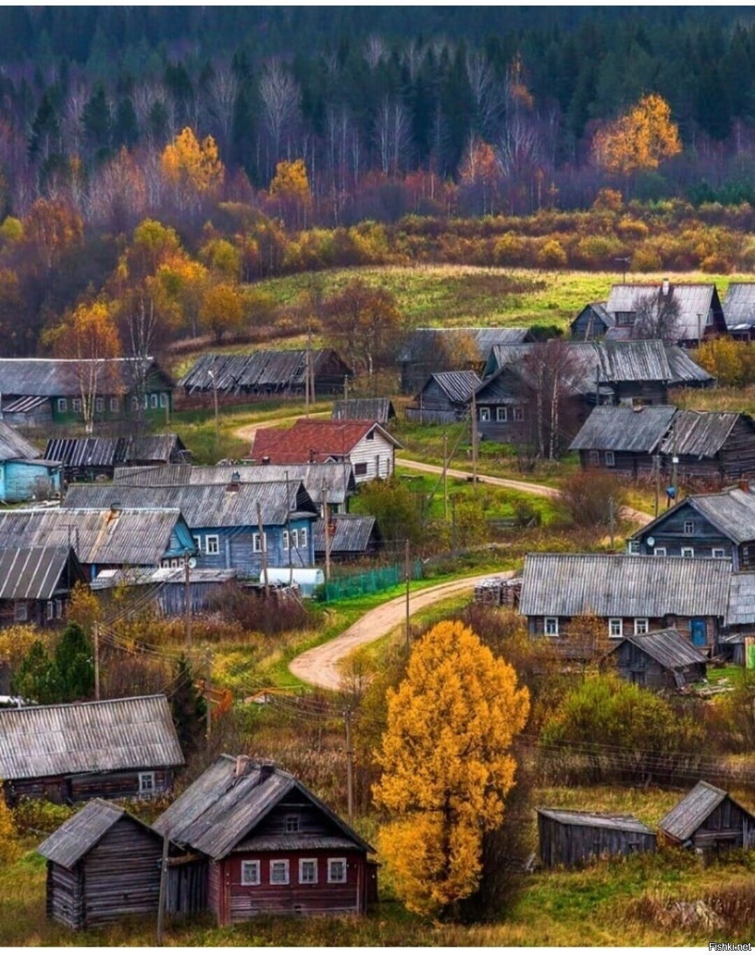 Солянка