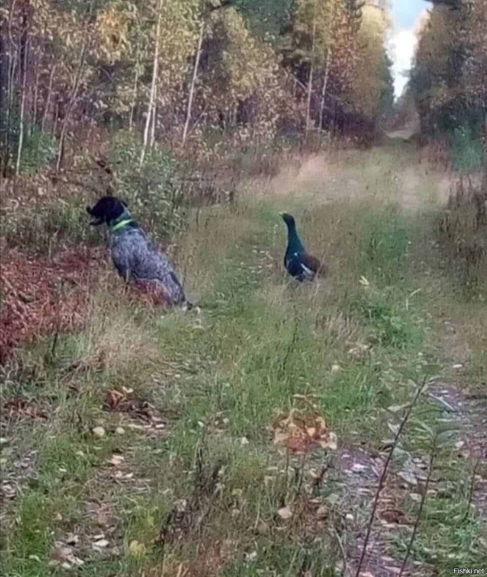 охотничье чутьё не было её сильной стороной