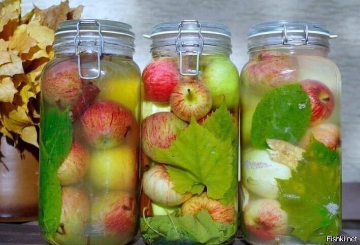 Солянка