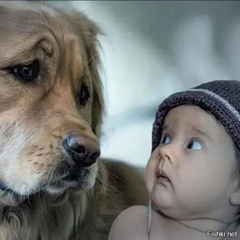Без слов…