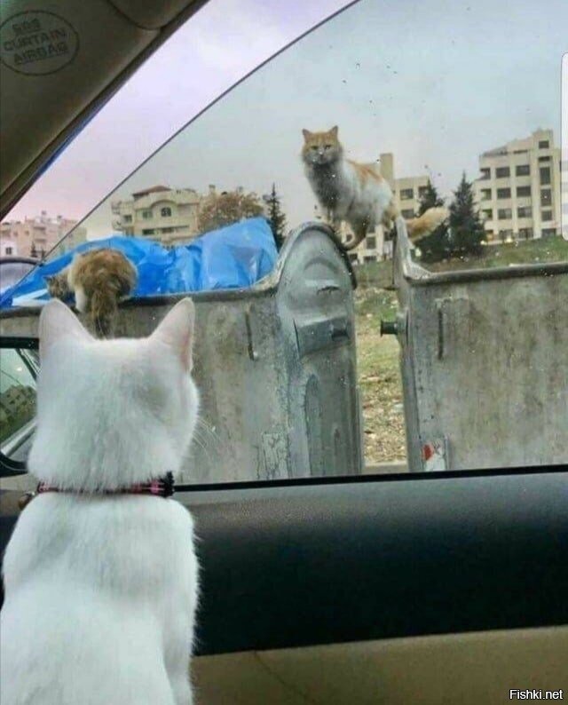 ......