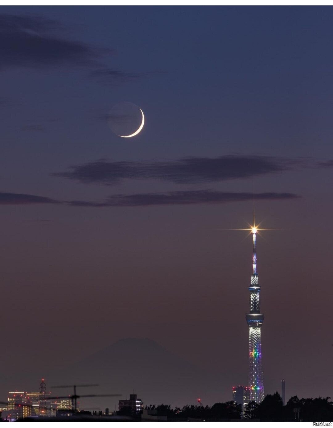 Солянка