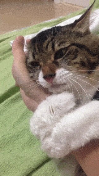 Не путююю