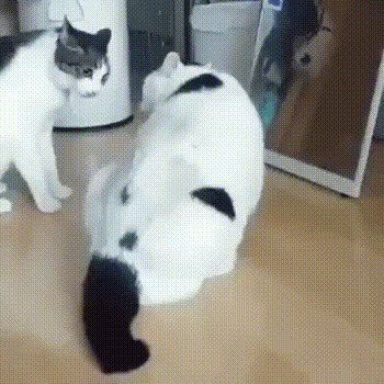 Когда хотел успокоить друзей, но в последний момент понял, что срочно нужно п...