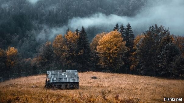 Солянка