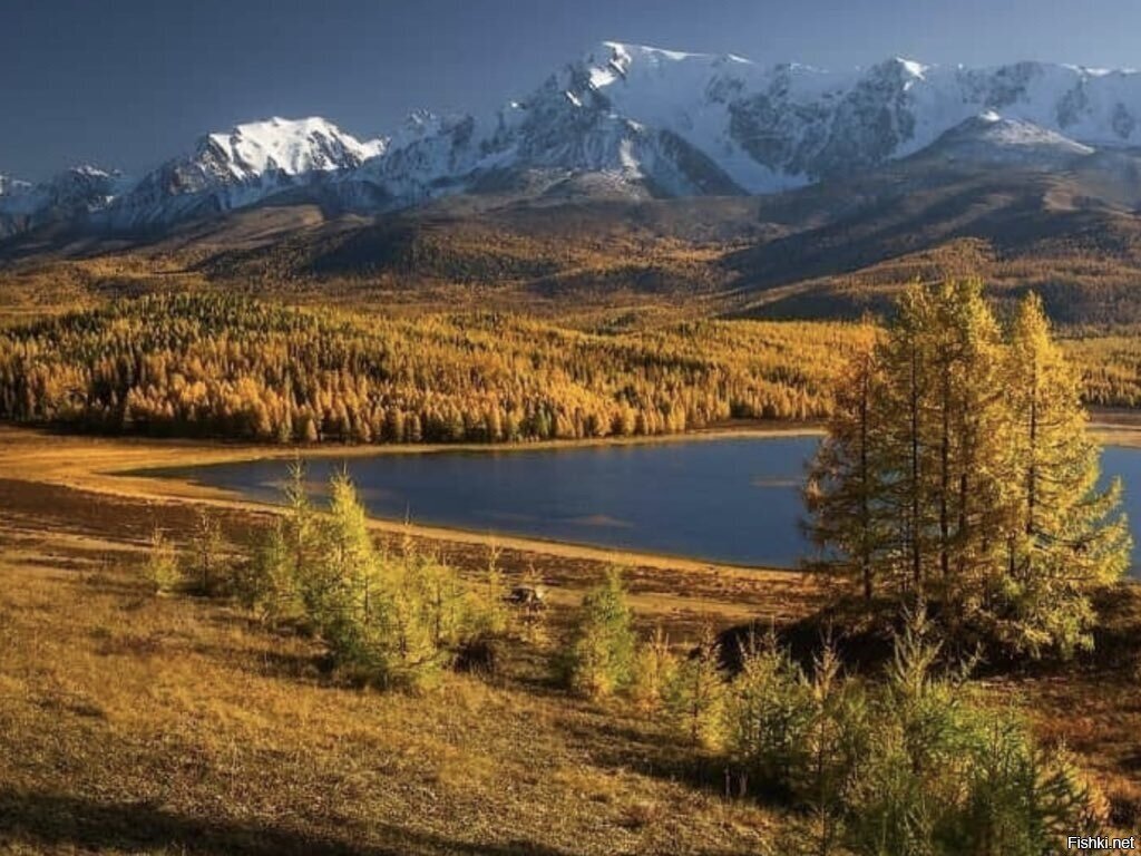 Алтай