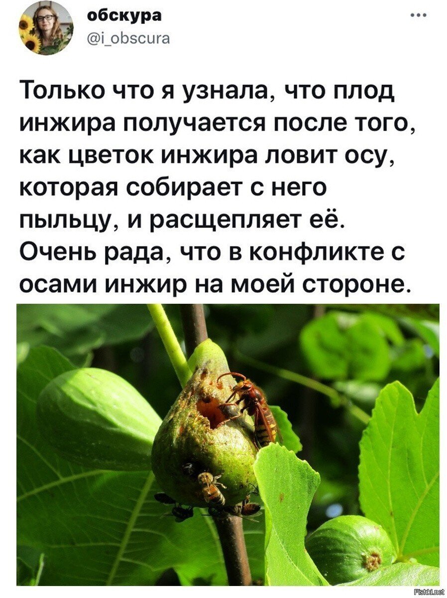 Mинyткa зaнимaтeльной инфopмaции