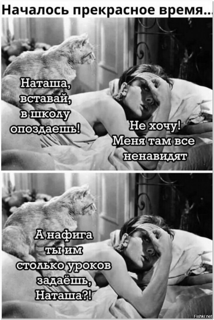 Утро доброе всем