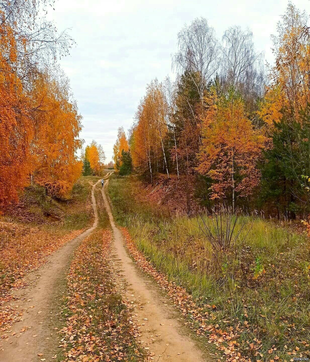 Солянка