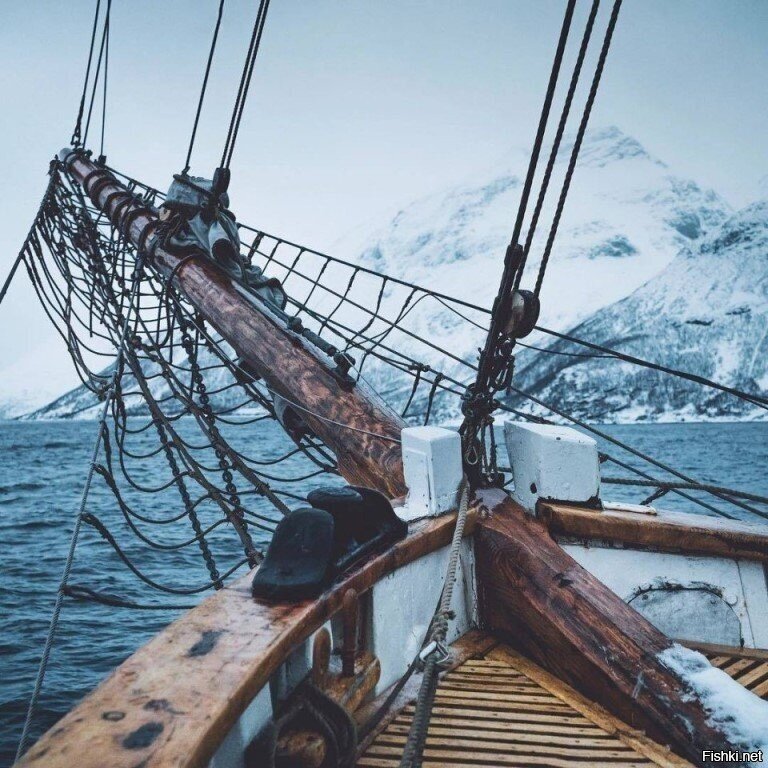 Солянка