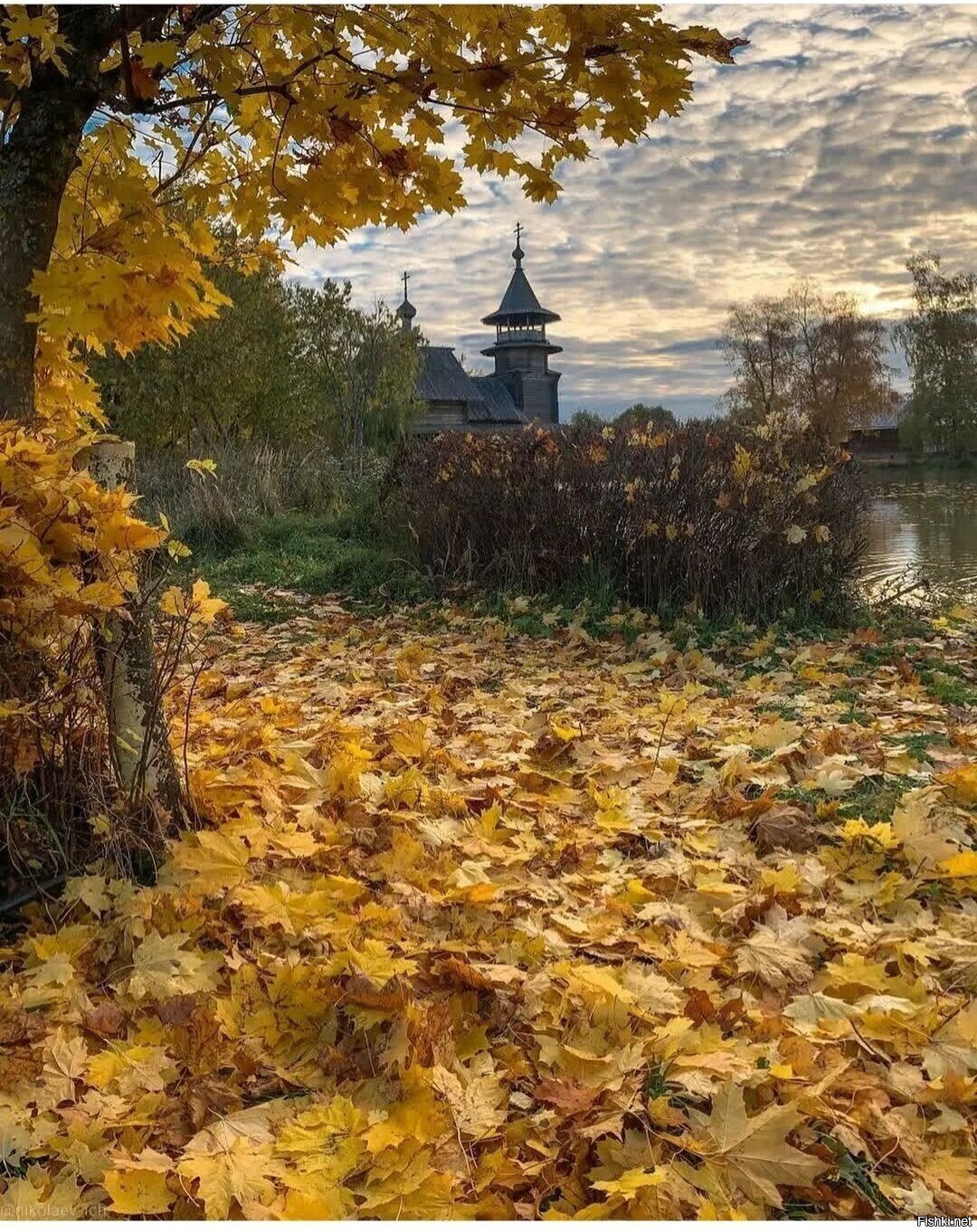 Солянка