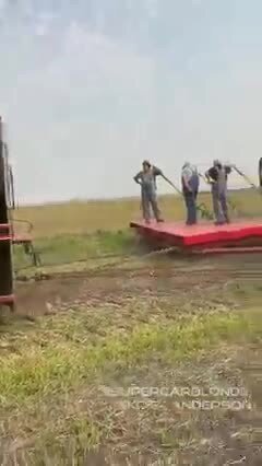 Мощность этого старинного парового трактора поражает воображение