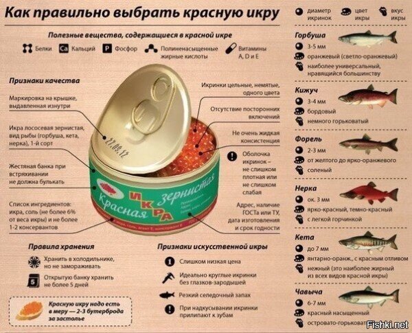 Актуальная тема для 4 утра