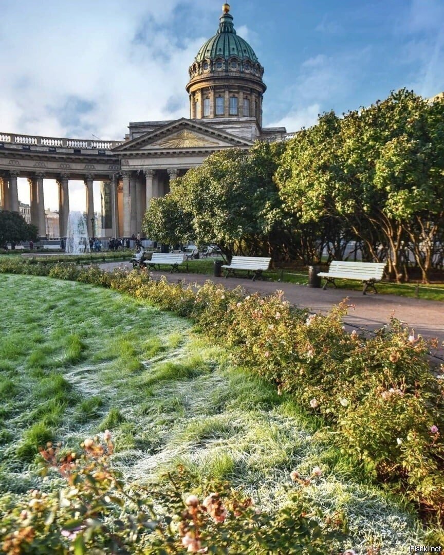 Солянка