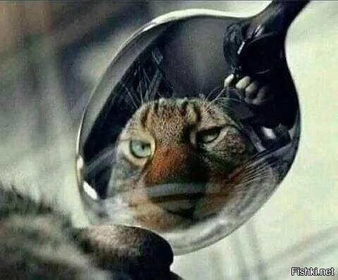 ............