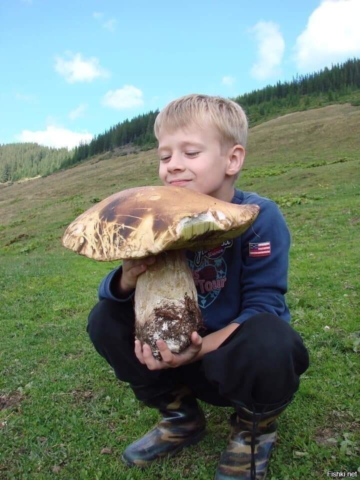 Солянка