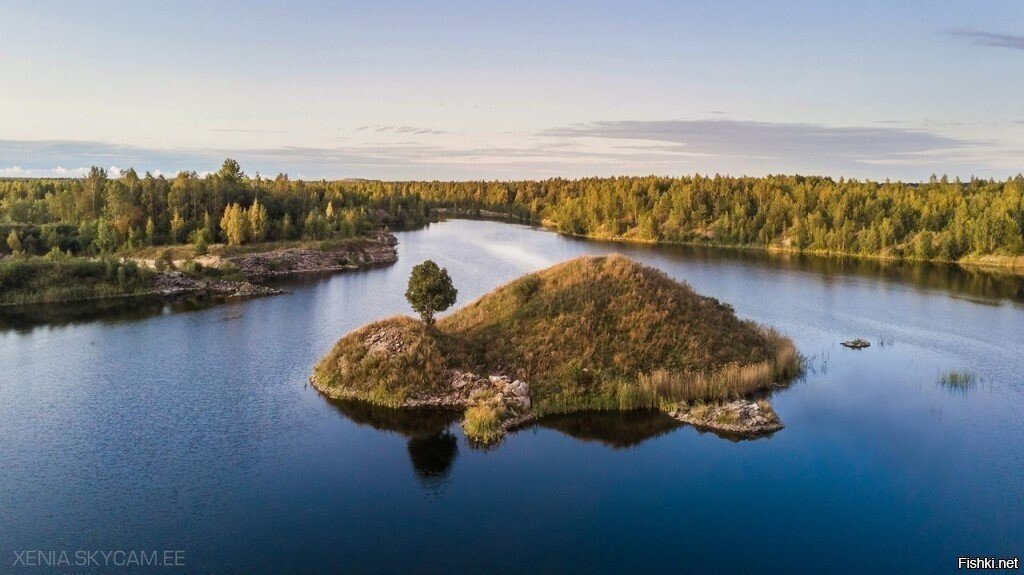 Черепашка