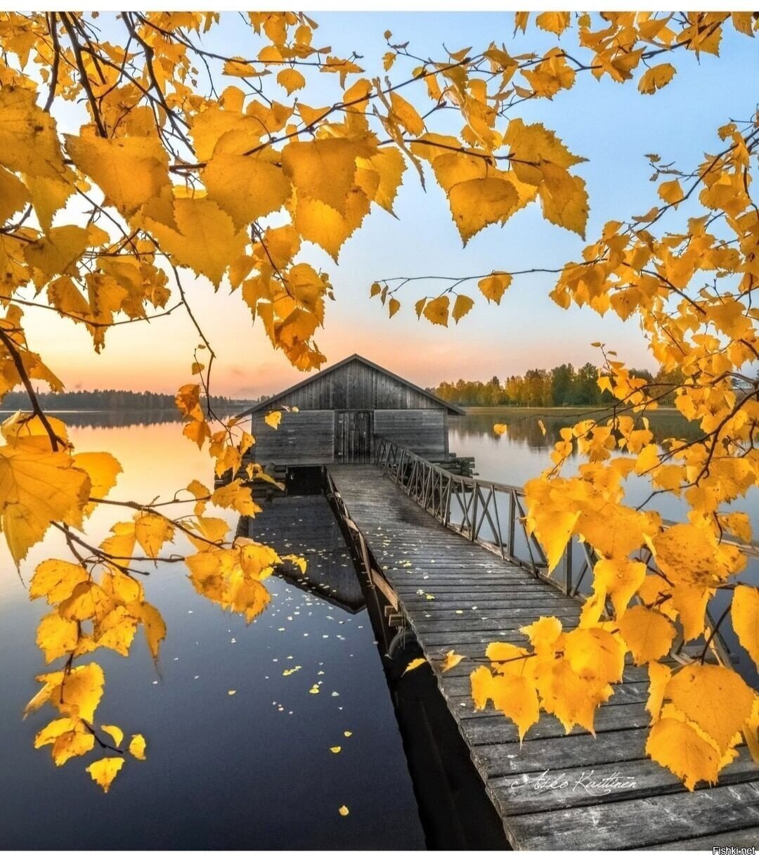 Солянка
