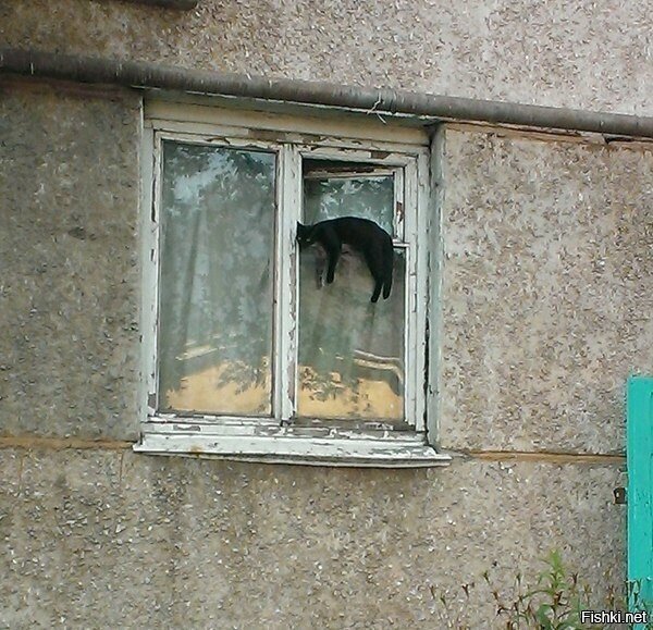 Фсё