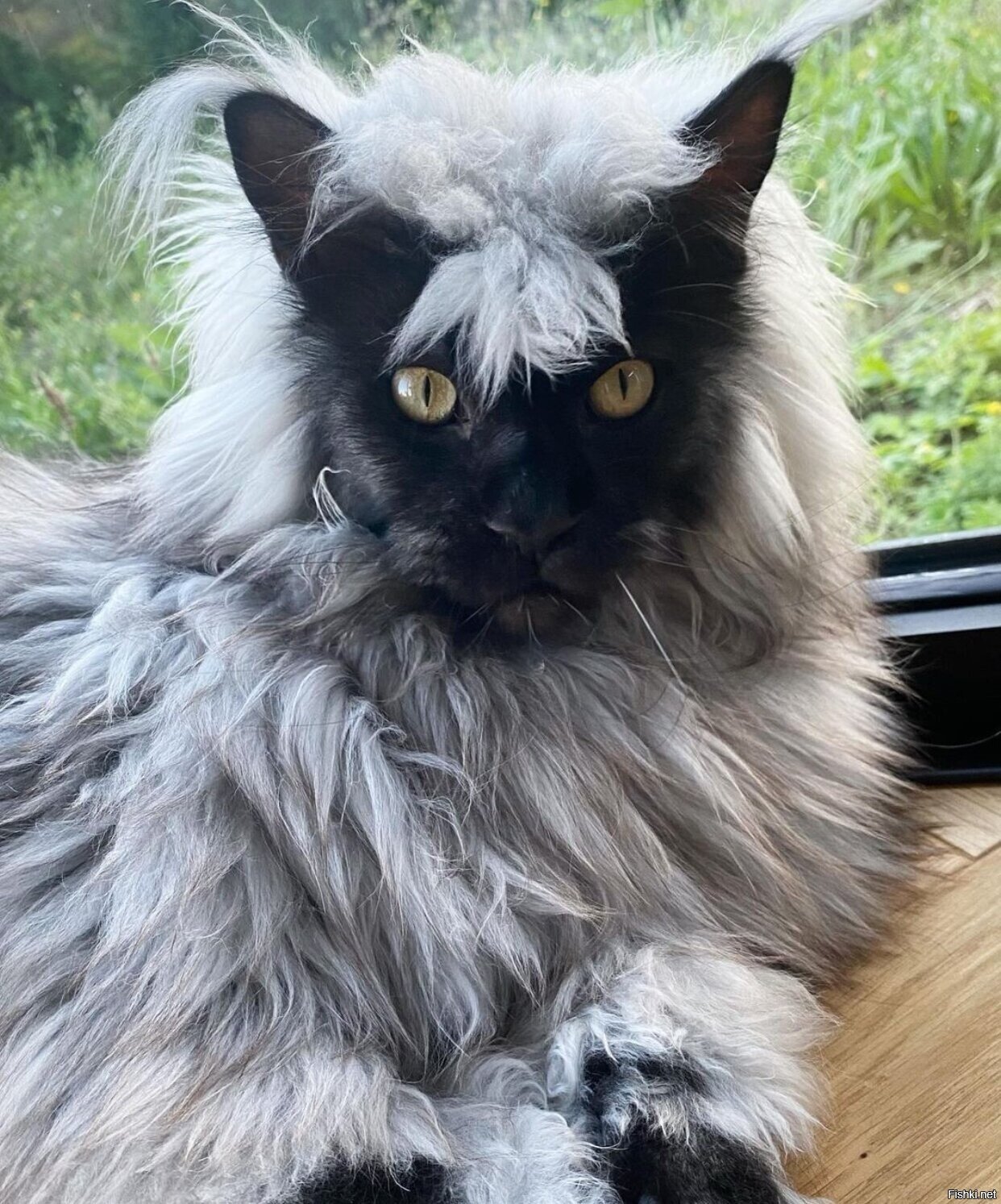 Солянка
