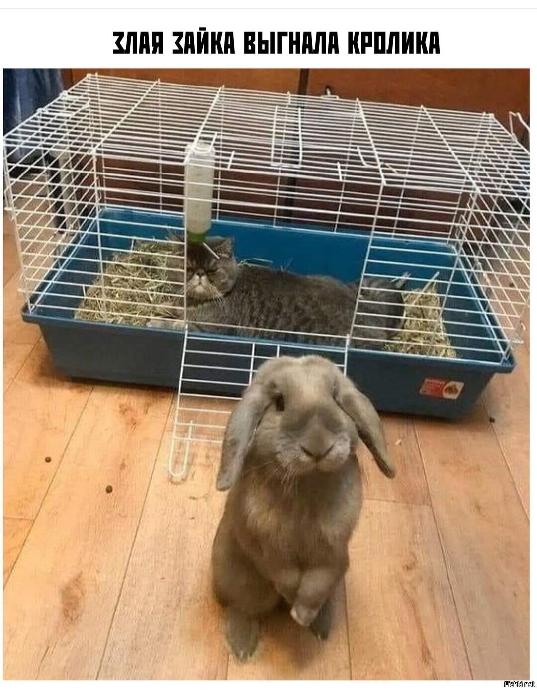 Солянка