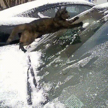  но ведь, зима скоро же