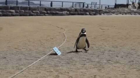 - Мой любимый человек пришел