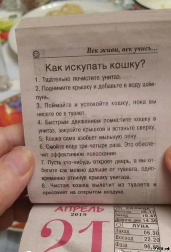 да после такой процедуры придётся всю оставшуюся жизнь прятать ботинки от кот...