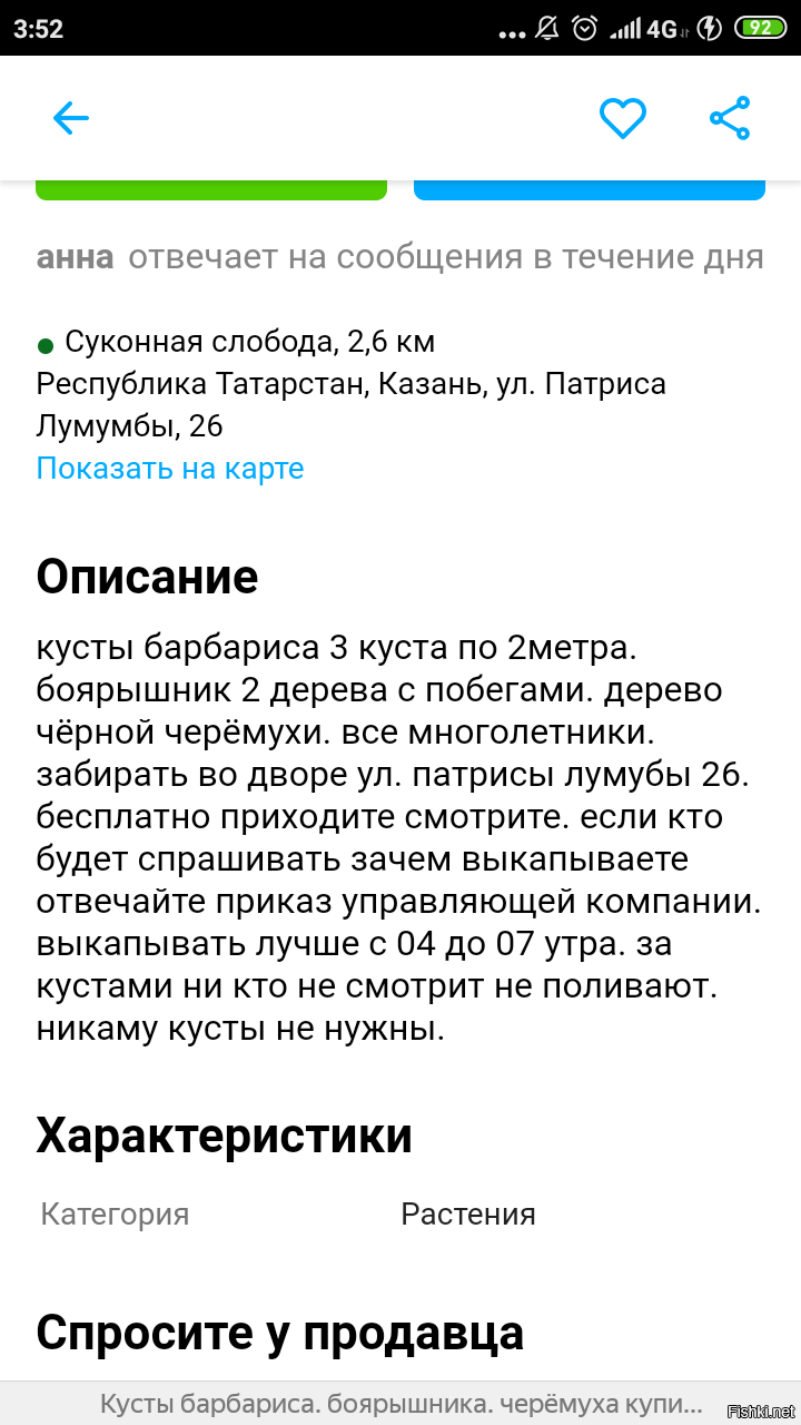 Искала плодоносящий барбарис