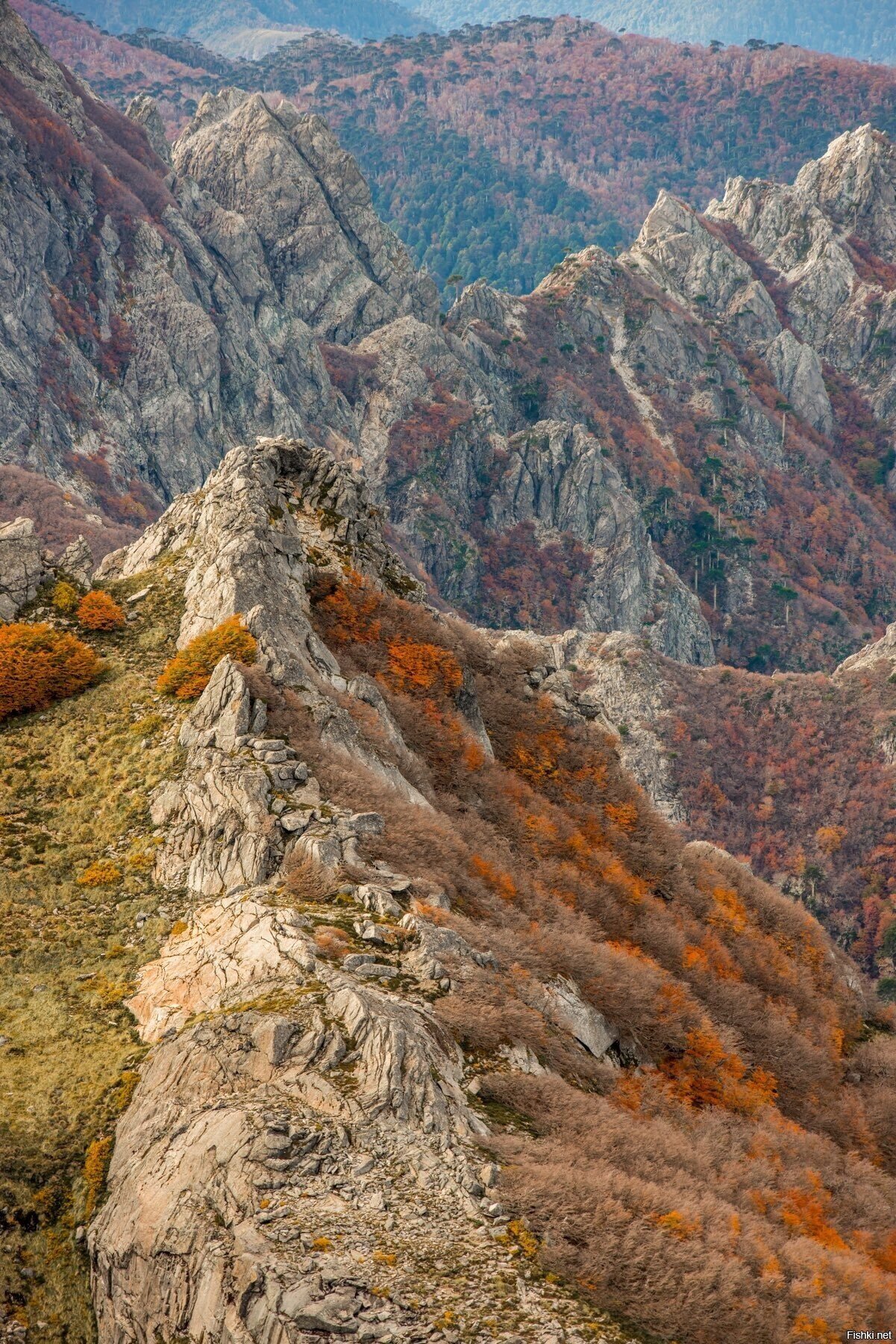 Араукания, Чили