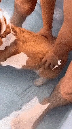 оно не тонет
