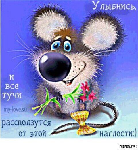 Доброго всем вечера