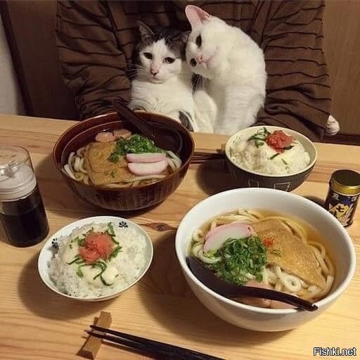 Кросивое