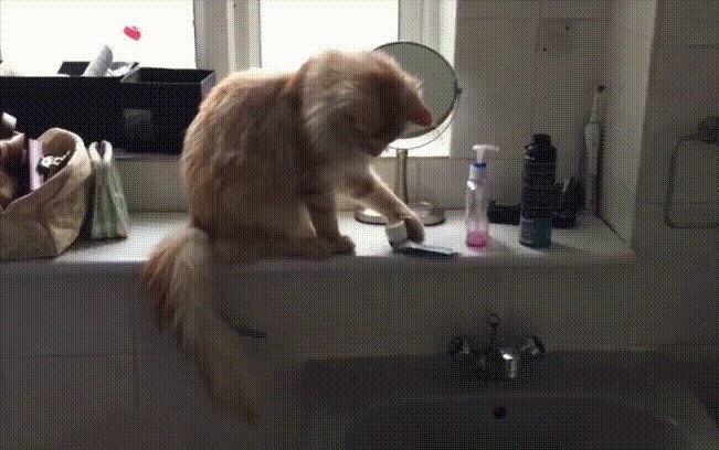 - Не знаю зачем, но надо