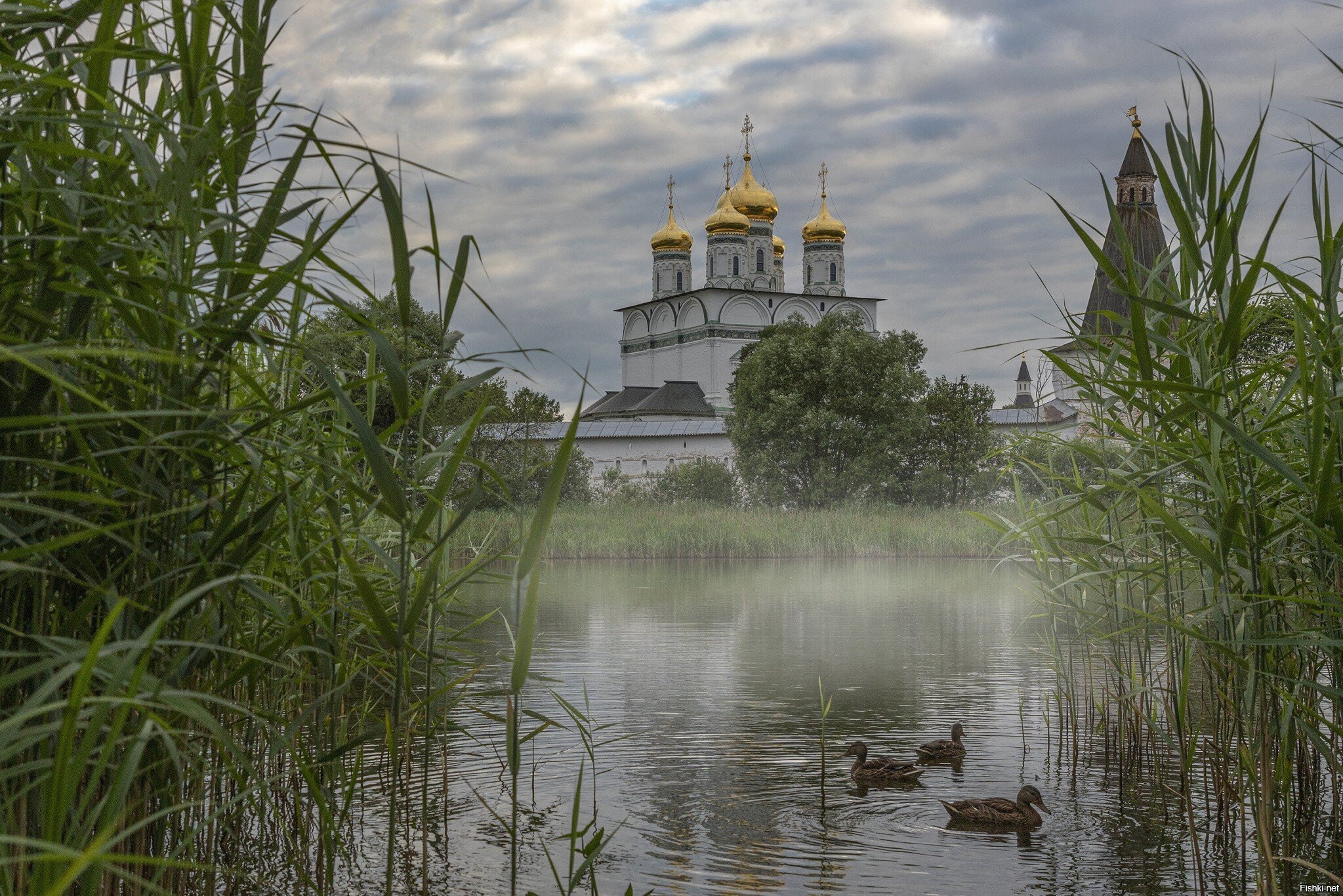 Солянка