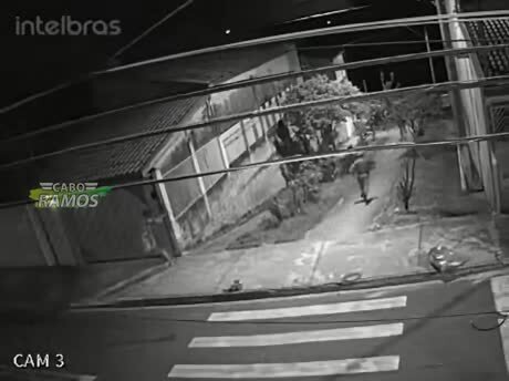 Парень убегает от полиции, кот убегает от собаки, чувак убегает от жены 