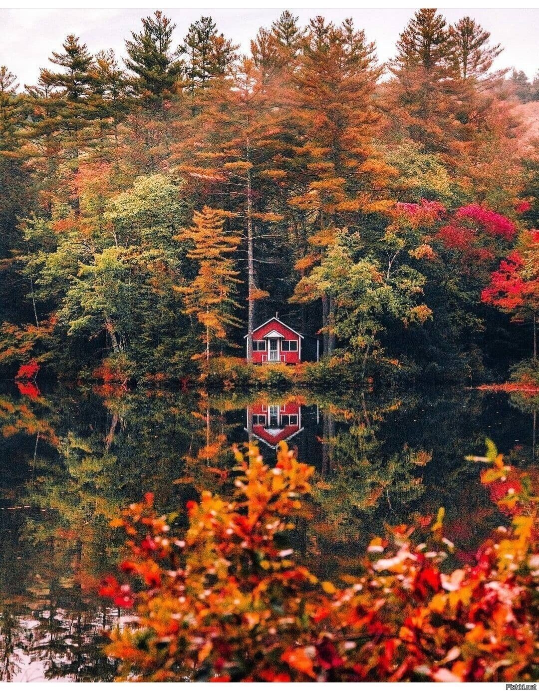 Солянка