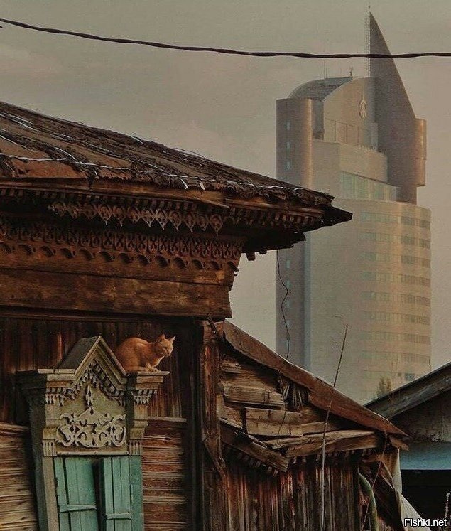 Солянка