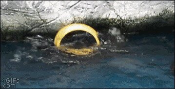 - Моя прелесть