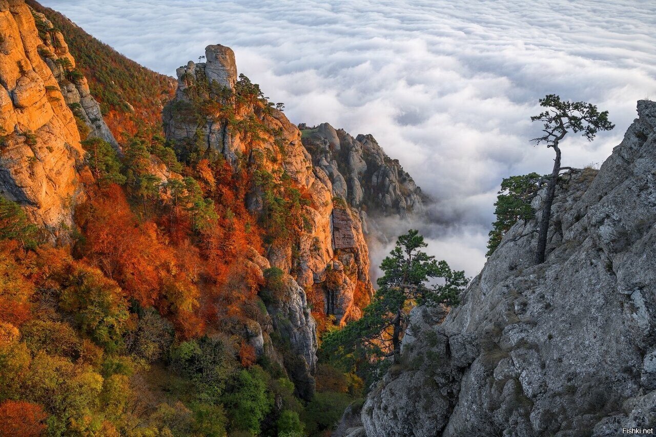 Краски осени на г