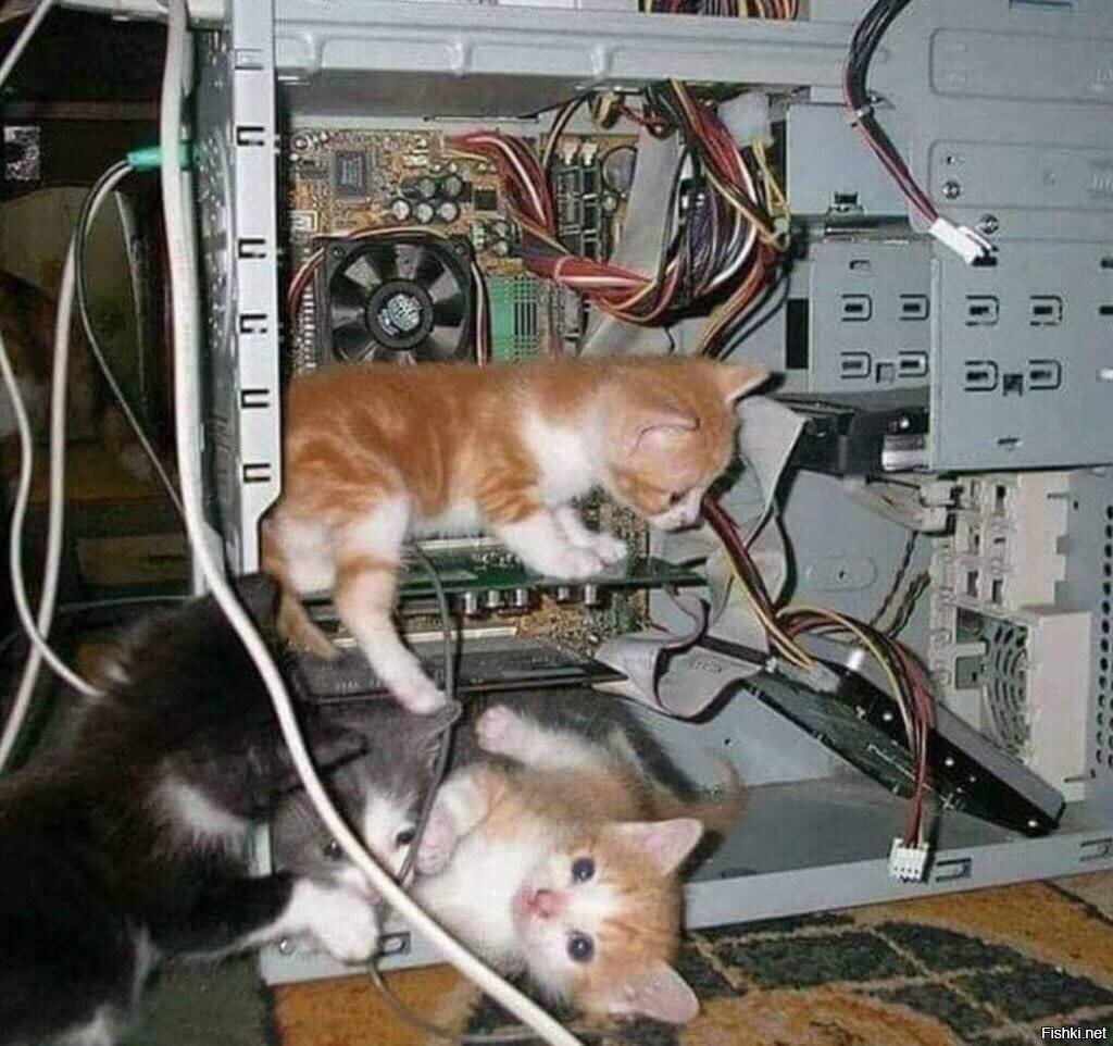 Солянка