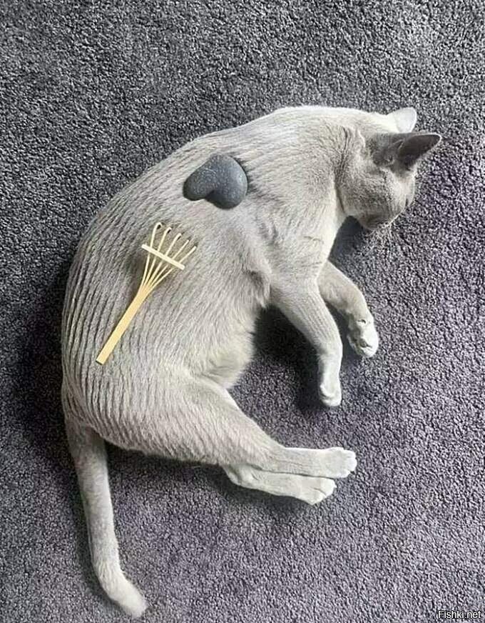 Солянка