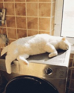 кароч