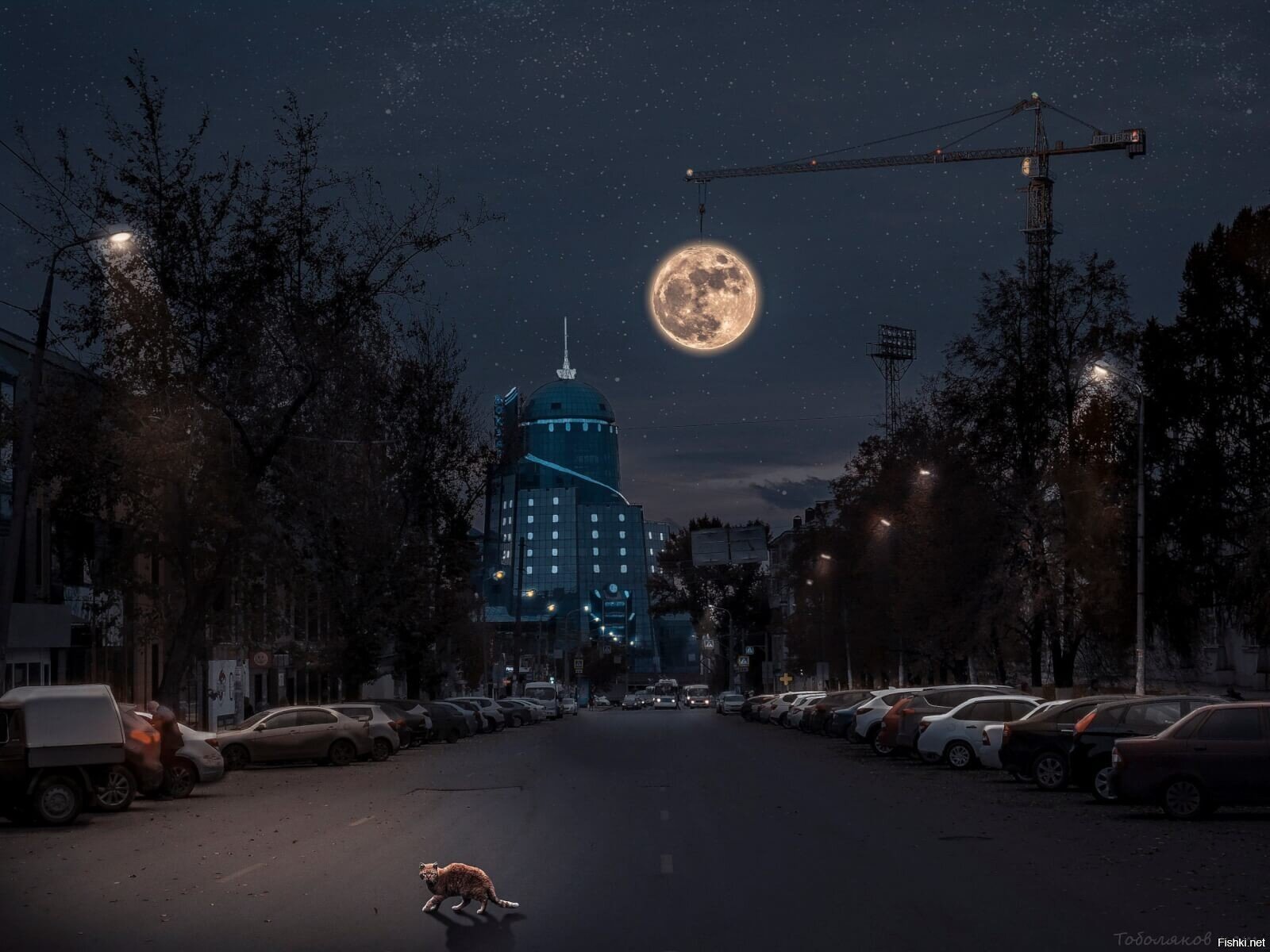 Солянка